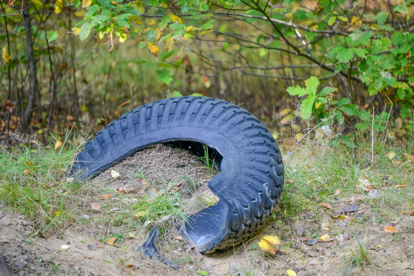Odpady stanowią jeden z większych problemów współczesnego świata