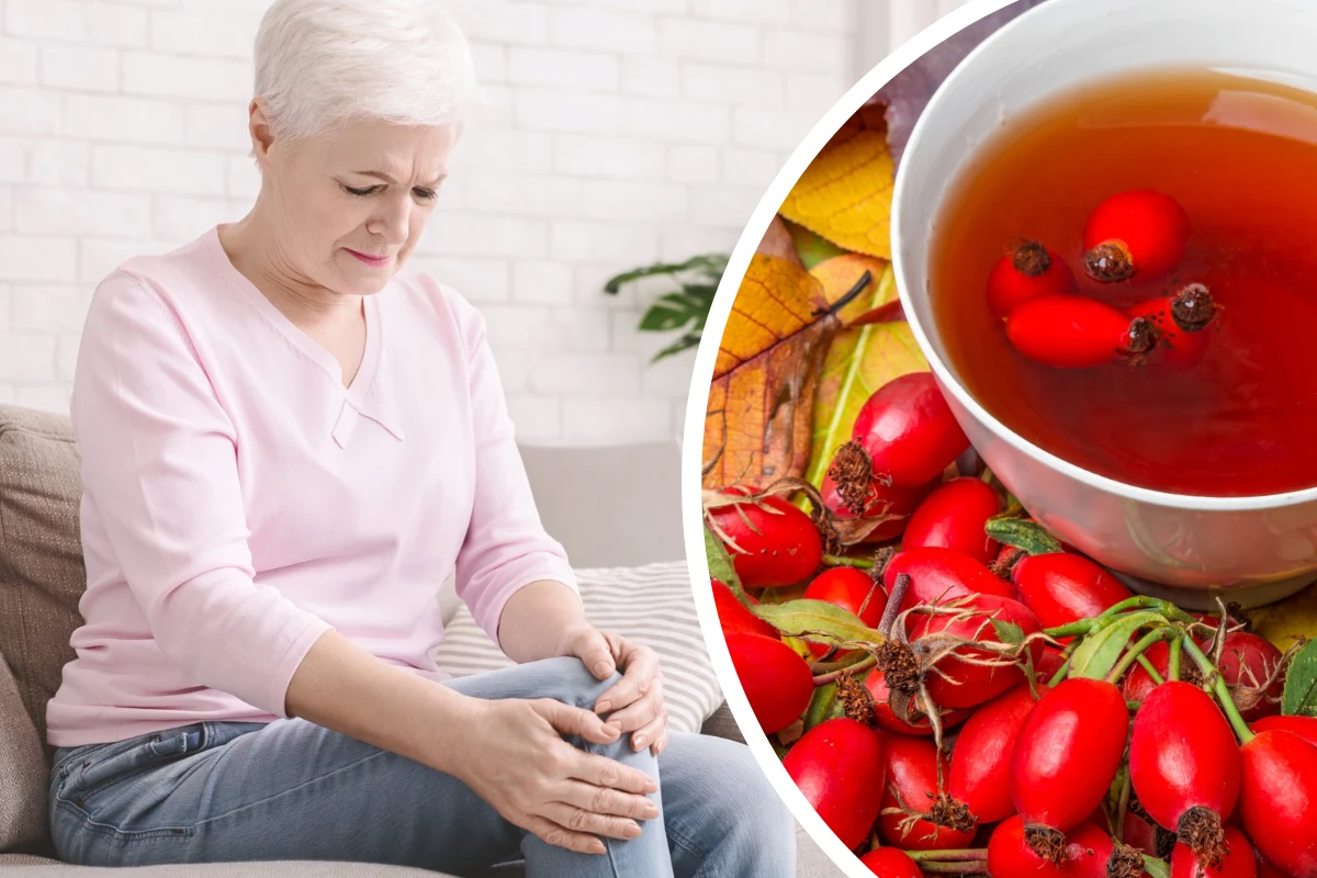  Dzika róża wykorzystywana jest m.in. w leczeniu choroby zwyrodnieniowej stawów