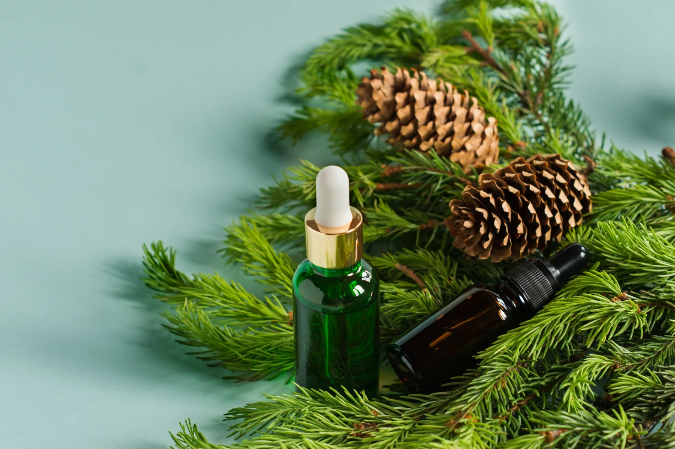 Wyciąg z jodły balsamicznej może okazać się przełomowym sposobem zwalczania kleszczy Wyciąg z jodły balsamicznej może okazać się przełomowym sposobem zwalczania kleszczy
