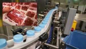 Jedna decyzja i domino ruszyło, zdjęcie ilustracyjne