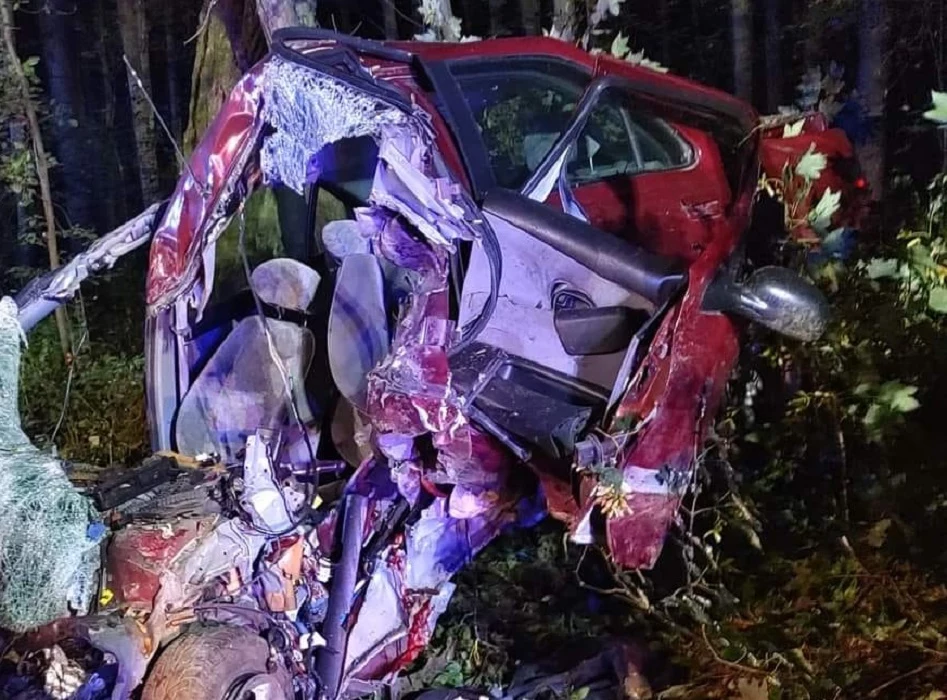 Siemkowice. Tragiczny wypadek. Nie żyje dwóch mężczyzn Siemkowice. Tragiczny wypadek. Nie żyje dwóch mężczyzn
