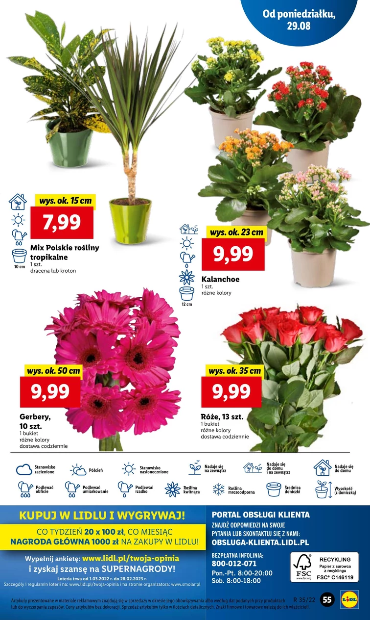 leaflet page preview image