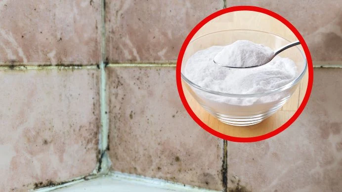 Brudne fugi w łazience? Koniec szorowania. Ten domowy środek wyczyści je w mgnieniu oka Brudne fugi w łazience? Koniec szorowania. Ten domowy środek wyczyści je w mgnieniu oka