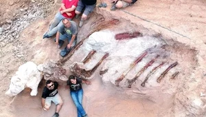 Odkryto szczątki największego dinozaura w historii Europy