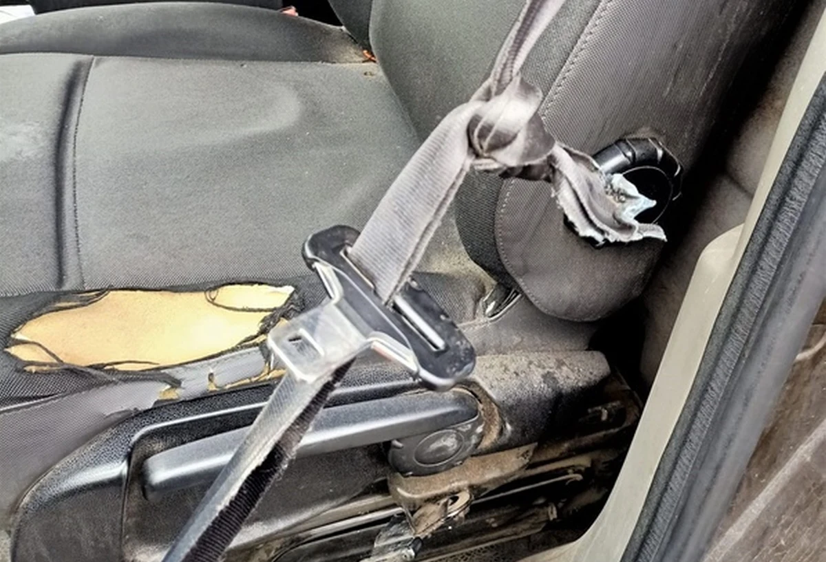 Pasy były pourywane i zawiązane na supeł 