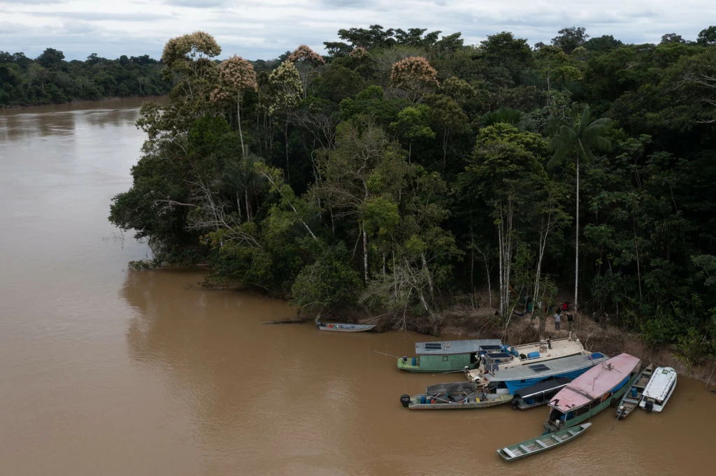 Wylesianie Amazonii wzrosło po objęciu prezydentury Bolsonaro