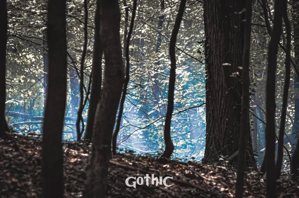 Larp Gothic 2022 Larp Gothic 2022