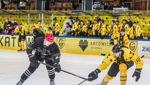 Hokeiści Comarch Cracovii i HC GKS-u Katowice będą reprezentować Polskę w hokejowej Lidze Mistrzów