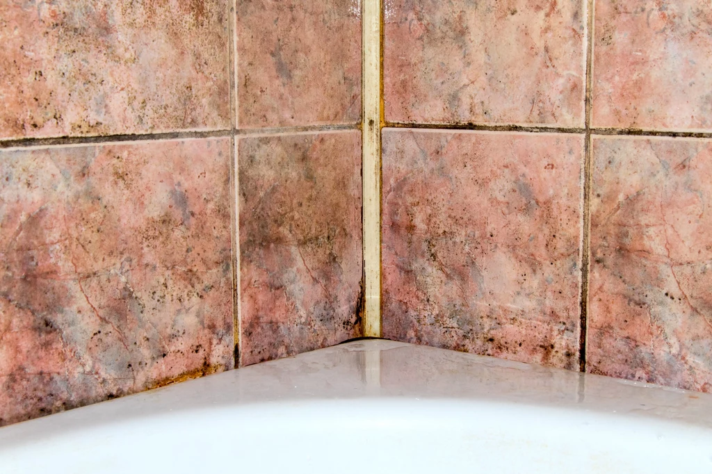 Pleśń najczęściej rozwija się w pobliżu umywalki, wanny lub prysznica