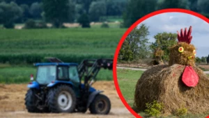 Dziwne konstrukcje na polskich wsiach. Widać je z oddali