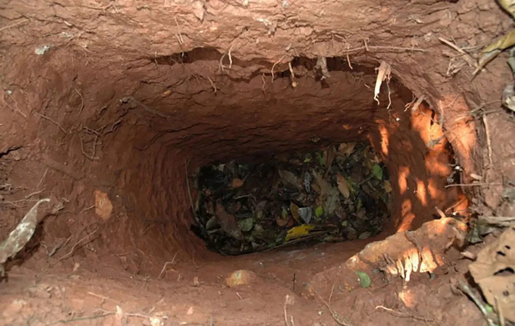 Ostatni członek plemienia wykonywał głębokie dziury w pobliżu swojego szałasu. Ich przeznaczenie pozostaje tajemnicą. / foto: UPESSONA/SURVIVAL INTERNATIONAL