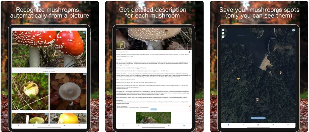 Mushroom Identify/ App Store