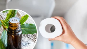 Nałóż na rolkę z papierem toaletowym. Genialny patent na brzydki zapach w łazience