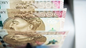 Niektóre partie polityczne postulują istotne zmiany w świadczeniu 500 plus, a nawet jego zniesienie