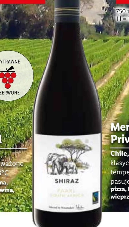 Wino Shiraz paarl