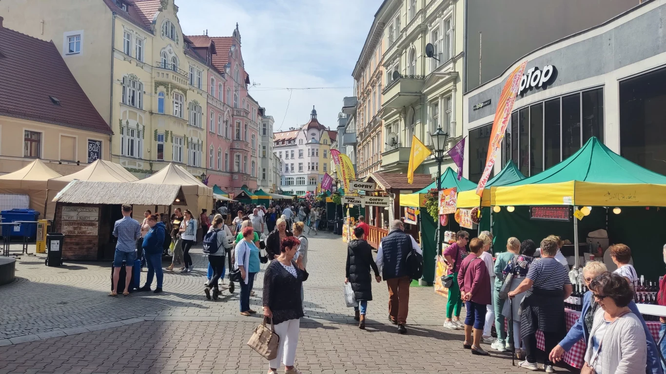 Winobranie w Zielonej Górze to bardzo popularne wydarzenie Winobranie w Zielonej Górze to bardzo popularne wydarzenie
