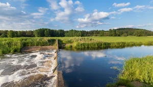 Regulacja rzek - plaga, która niszczy polskie wody