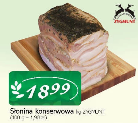 Słonina ZM Zygmunt