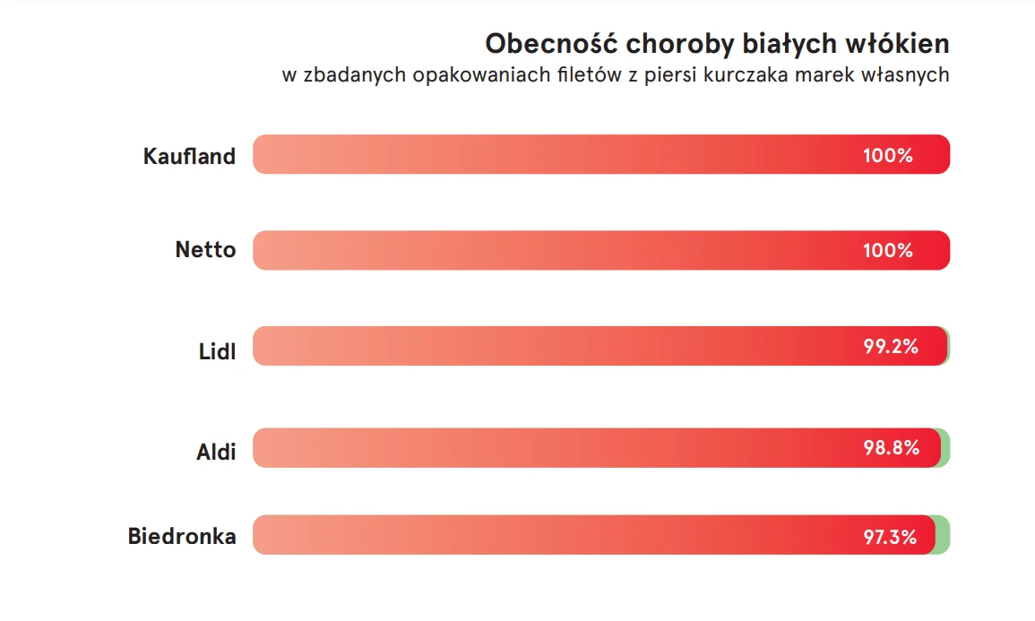 Raport z polskich sklepów dotyczący choroby białych włókien