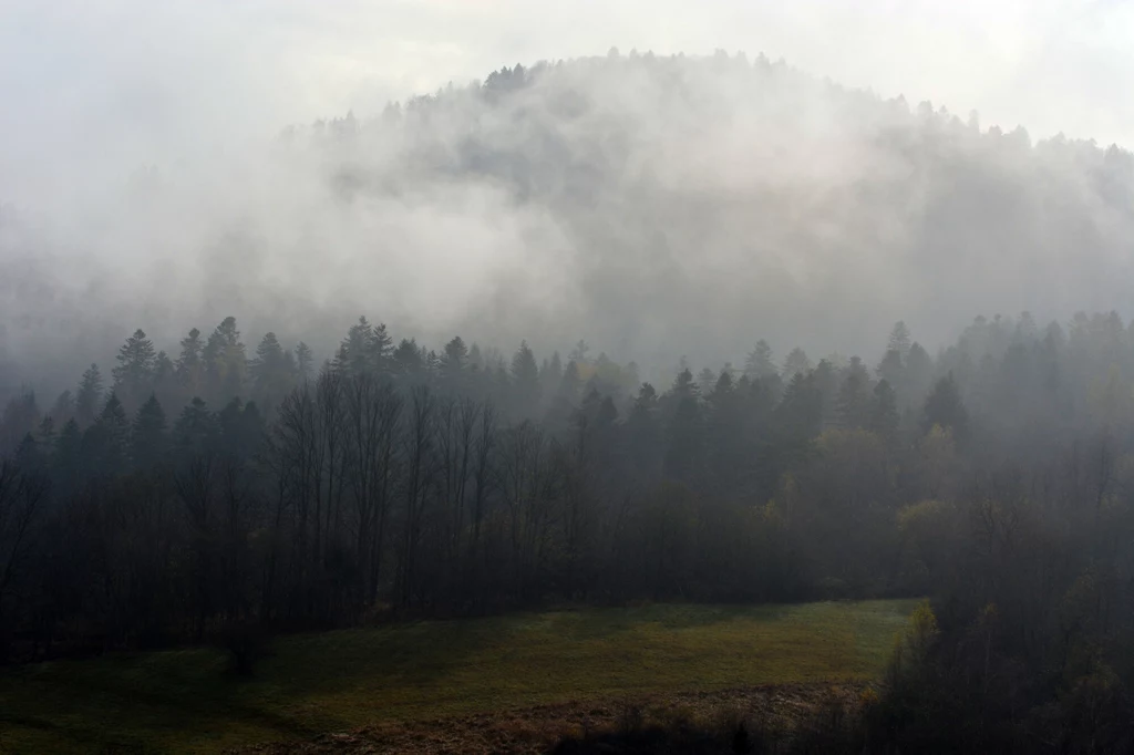 Mgła w Bieszczadach