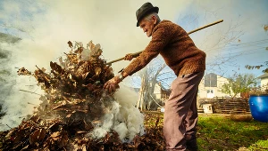 Zdjęcie ilustracyjne. Palenie liści jest zabronione