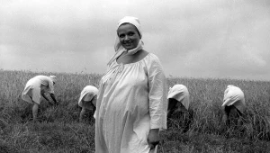 Anna Seniuk w scenie z filmu "Konopielka"