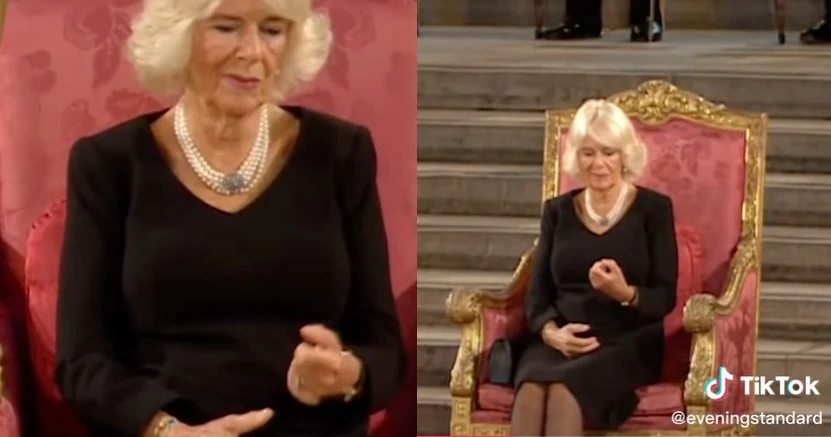 Camilla zaliczyła wpadkę?