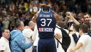 Giannis Antetokounmpo