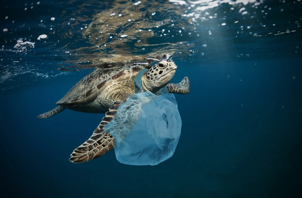 Ogromne ilości plastiku przedostają się do mórz, oceanów

