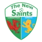 The New Saints