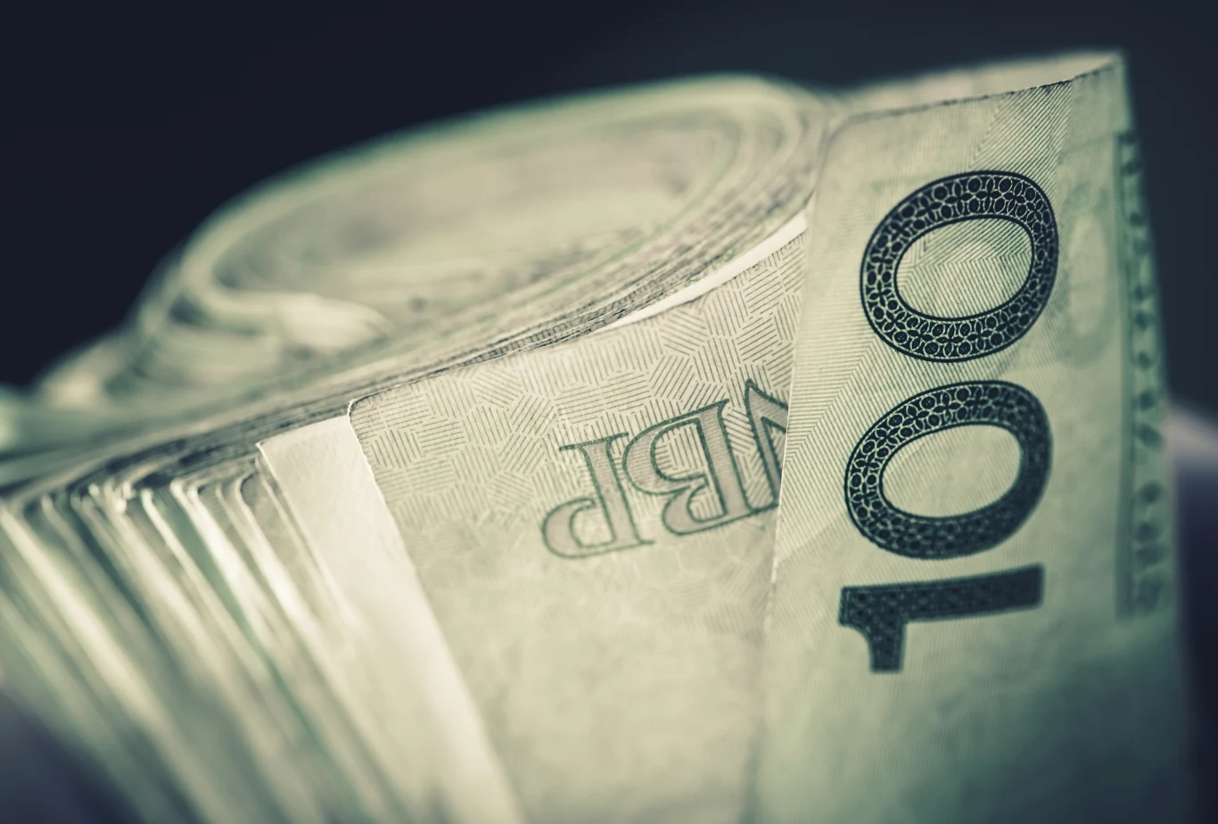 Polski budżet pozostanie pod presją Polski budżet pozostanie pod presją