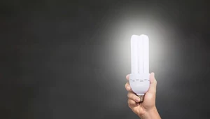 Świeci jak żarówka. Tak wygląda mózg, gdy rozwiązujemy problem