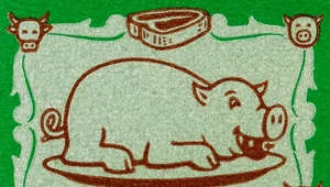 Mięsko i szyneczka od "szczęśliwej świnki"? Przemysł mięsny mami konsumentów