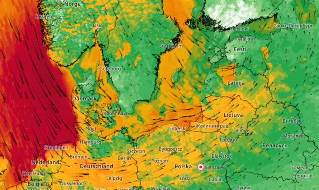 W Polsce w dniach od 16 do 20 września spodziewane są opady deszczu