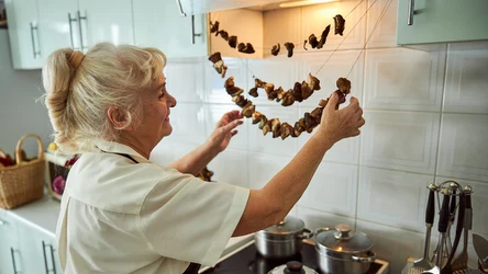 Niektóre grzyby po ususzeniu stają się trujące.