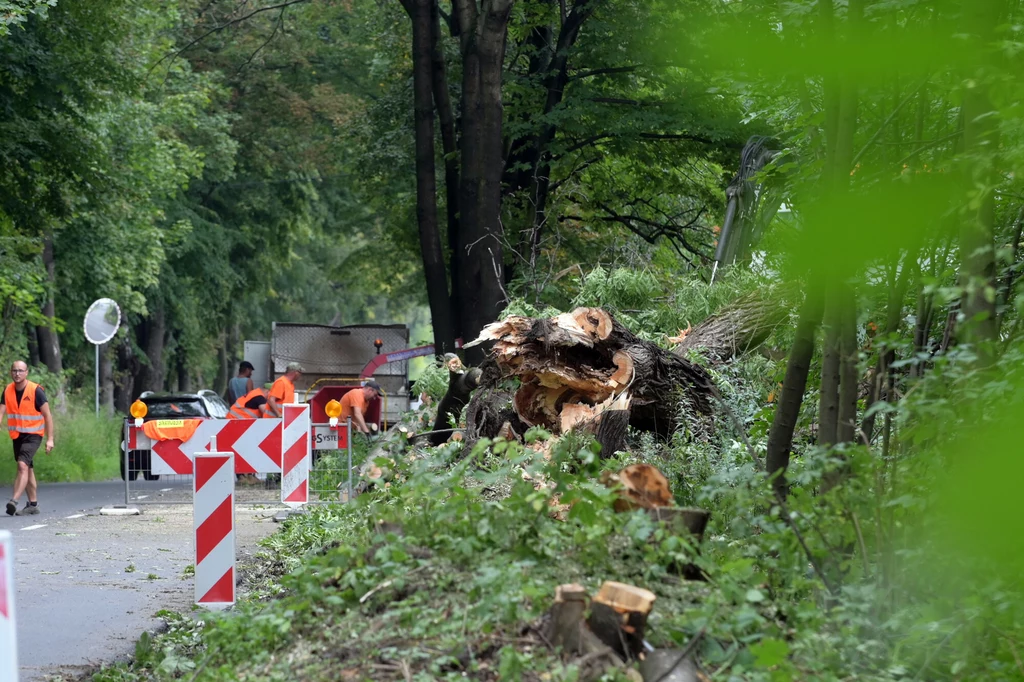 Wrześniowa wycinka w gminie Zabierzów