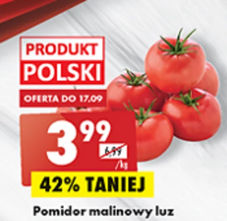 Pomidory Biedronka
