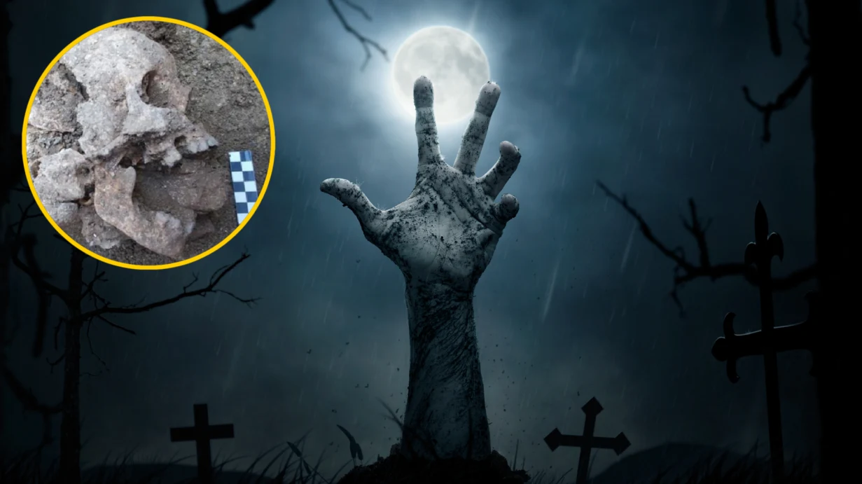 Jak powstrzymać wampira przed wstaniem z grobu? Jak powstrzymać wampira przed wstaniem z grobu?