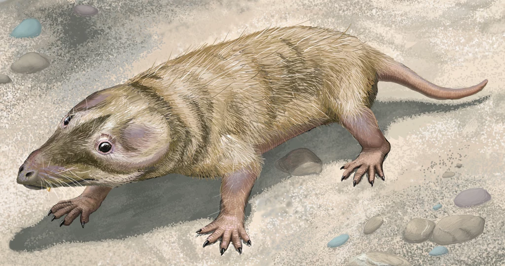 Rodzina Brasilodontidae żyła na Ziemi ok. 225 mln lat temu