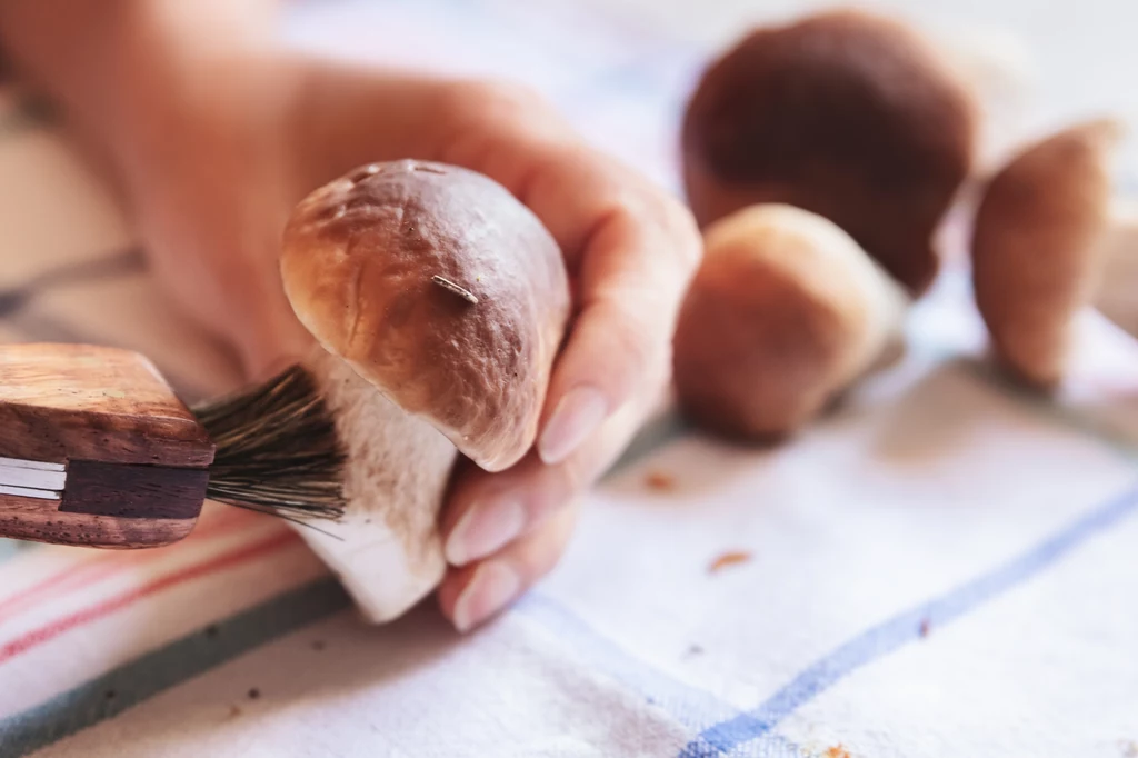 Jak prawidłowo oczyścić grzyby do suszenia, marynowania i mrożenia? Oto kilka wskazówek