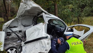 W wypadku na drodze krajowej 62 w Kamieńczyku (woj. mazowieckie) zginął kierowca dostawczego peugeota