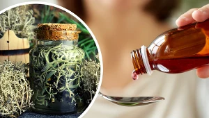 Porost islandzki działa powlekająco na błony śluzowe gardła i przełyku