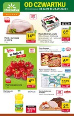 Stokrotka Market - nowe promocje