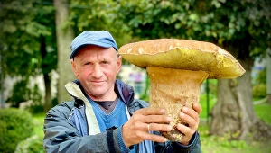 Pracownik gminy Horyniec-Zdrój znalazł ponad dwukilogramowego grzyba
