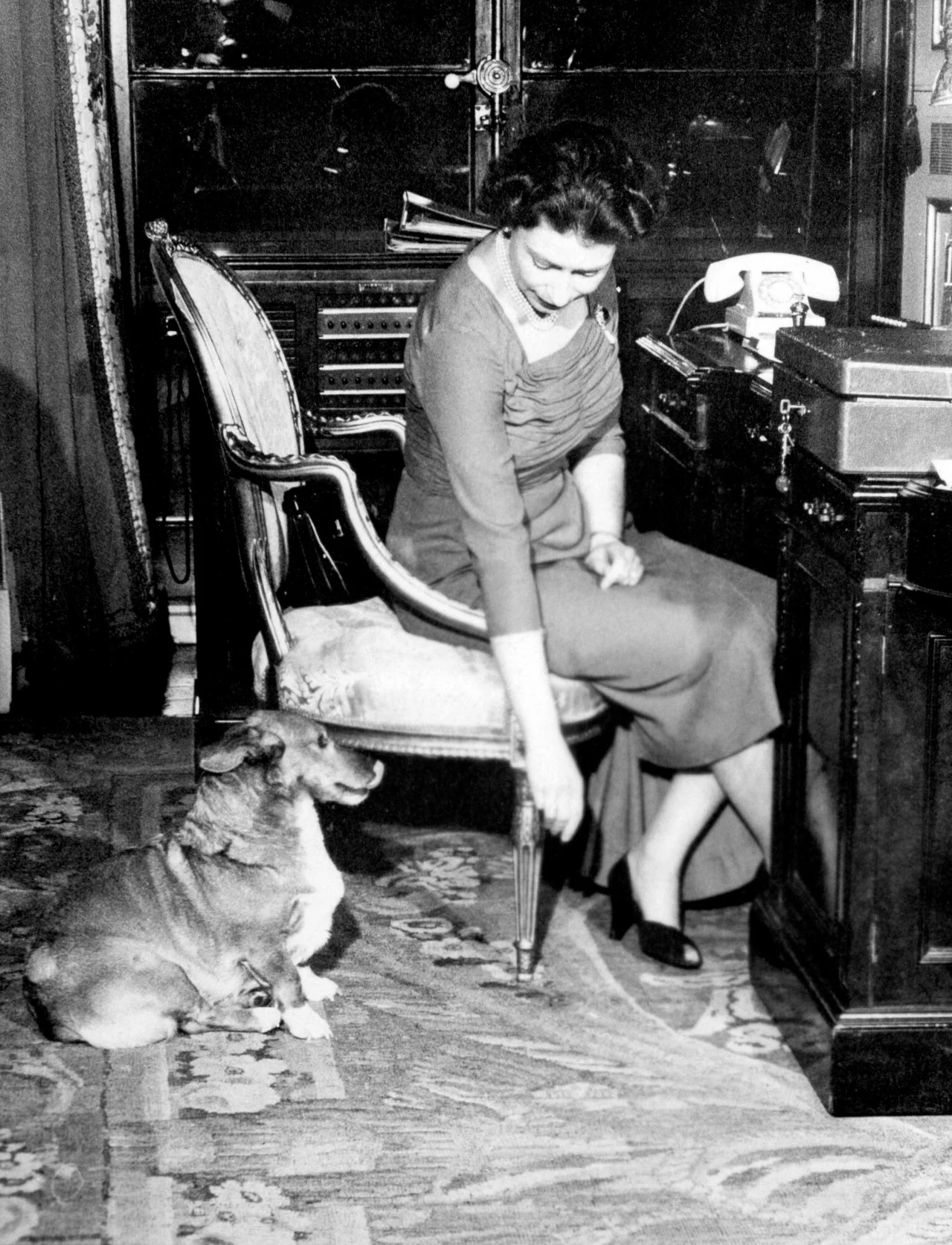 Królowa Elżbieta z corgi Susan u boku Królowa Elżbieta z corgi Susan u boku