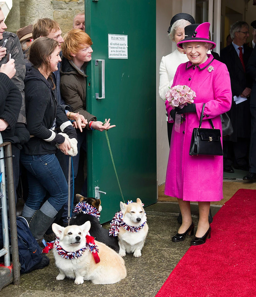 Królowa Elżbieta II z corgis poddanych podczas wizyty w opactwie Sherborne w Anglii, 2012 rok Królowa Elżbieta II z corgis poddanych podczas wizyty w opactwie Sherborne w Anglii, 2012 rok