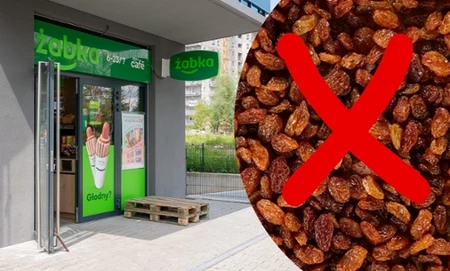 Partia "Rodzynek Sułtańskich" zanieczyszczona ochratoksyną A. 