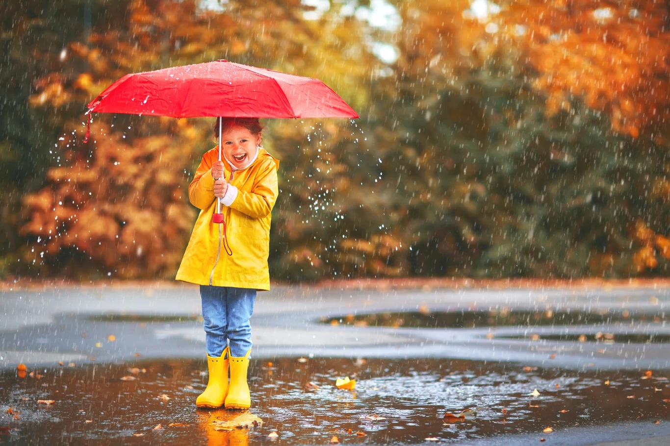 Jaką pogodę przyniesie jesień? Czy możemy się spodziewać wyższych temperatur? Jaką pogodę przyniesie jesień? Czy możemy się spodziewać wyższych temperatur?