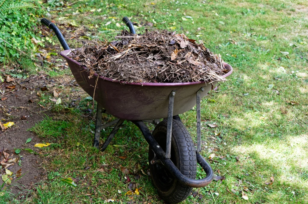 Naturalny kompost to doskonały nawóz dla roślin
