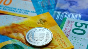 Nie będzie szybkiego zwrotu pieniędzy dla frankowiczów